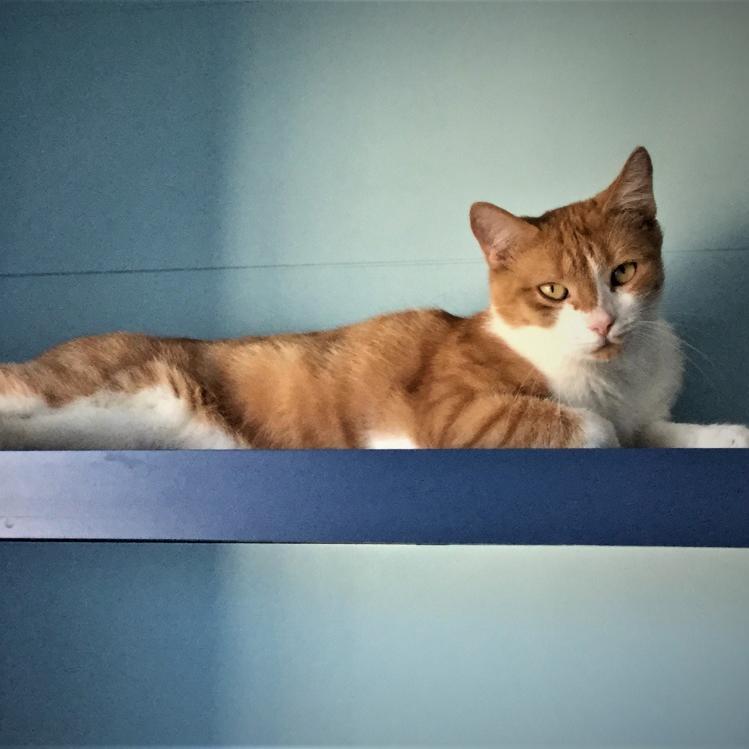 Photo de Roxy